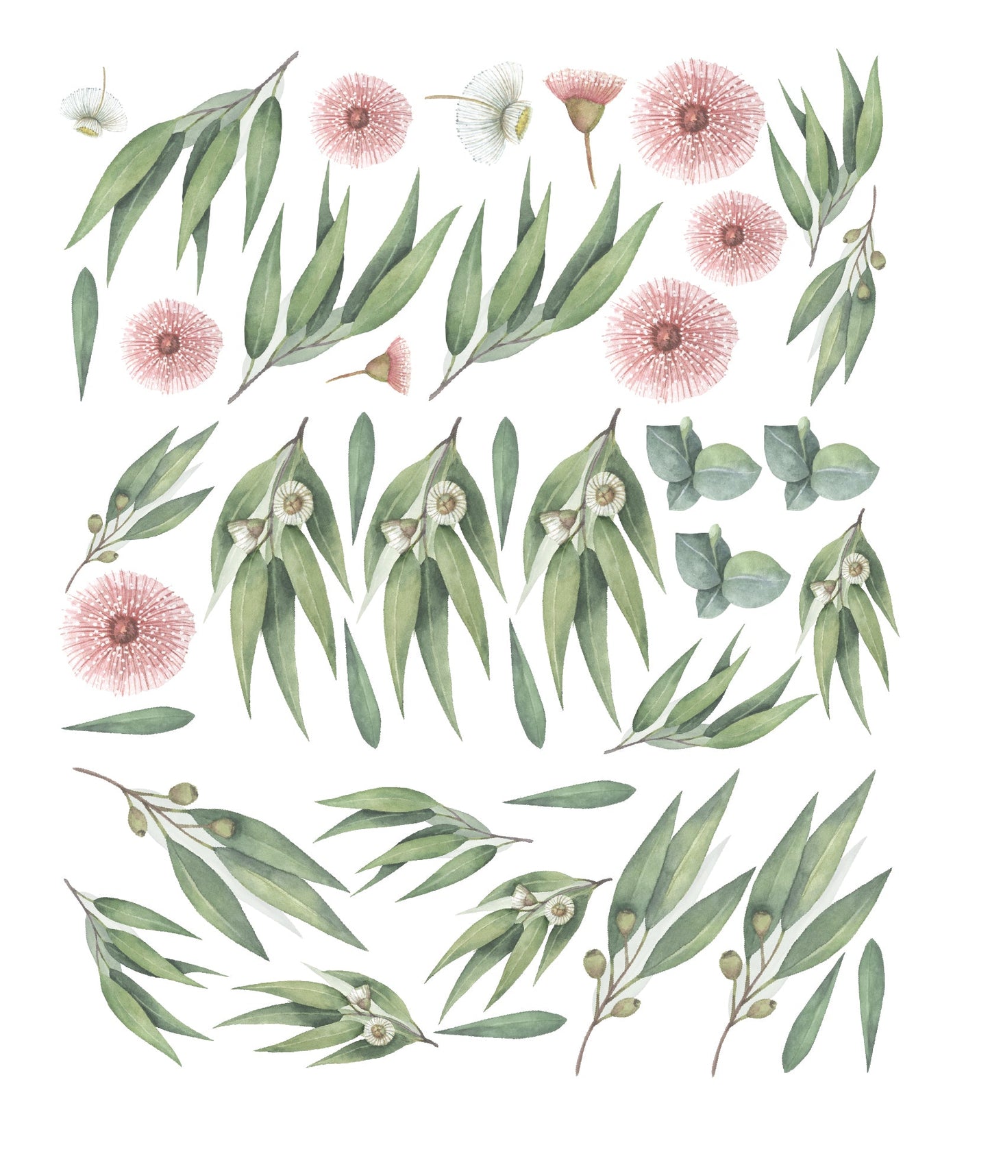 Australian Gum Tree & Blossom Decal Set - Ginger Monkey