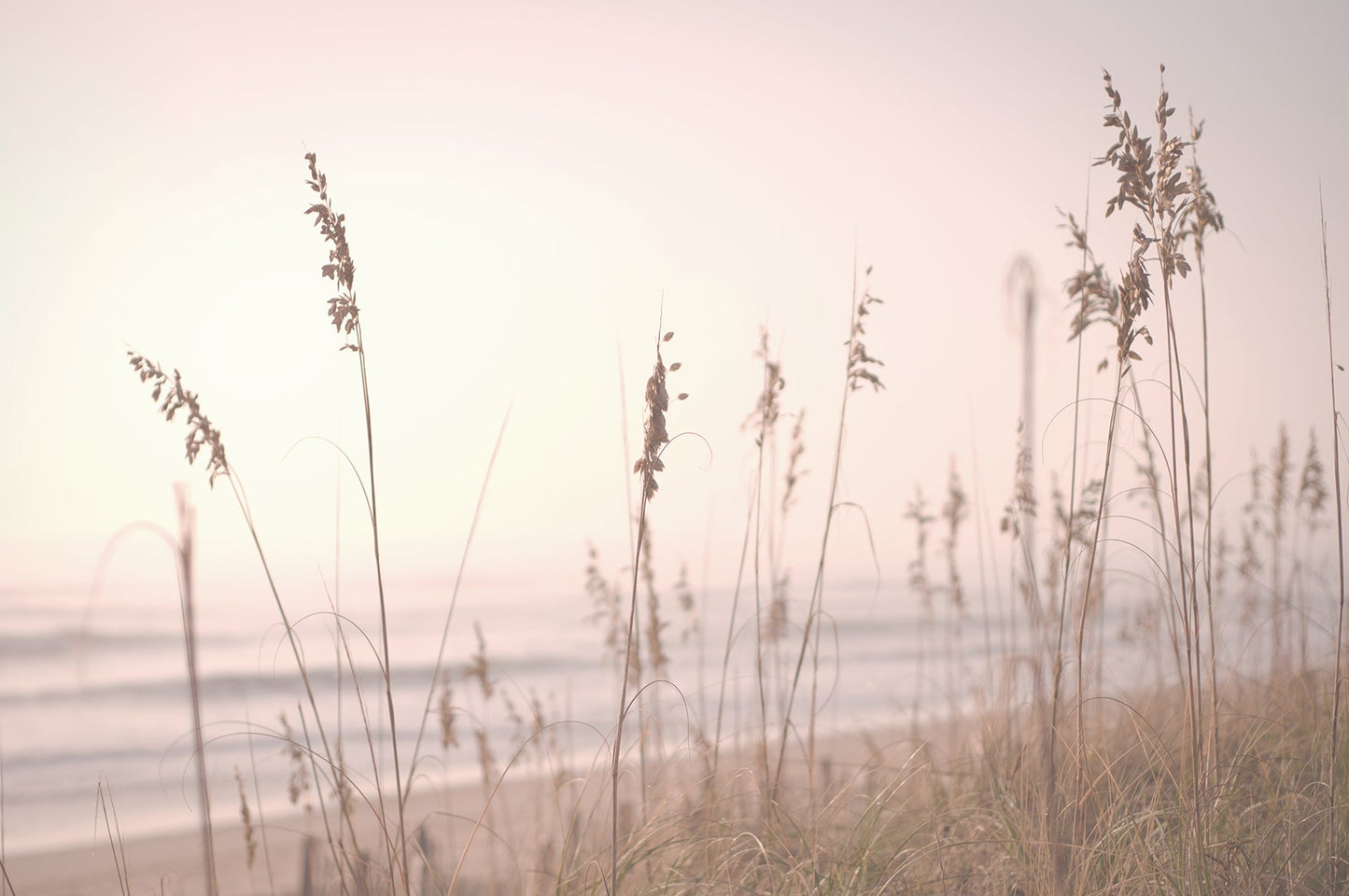 Coastal Sunset Wallpaper - Ginger Monkey