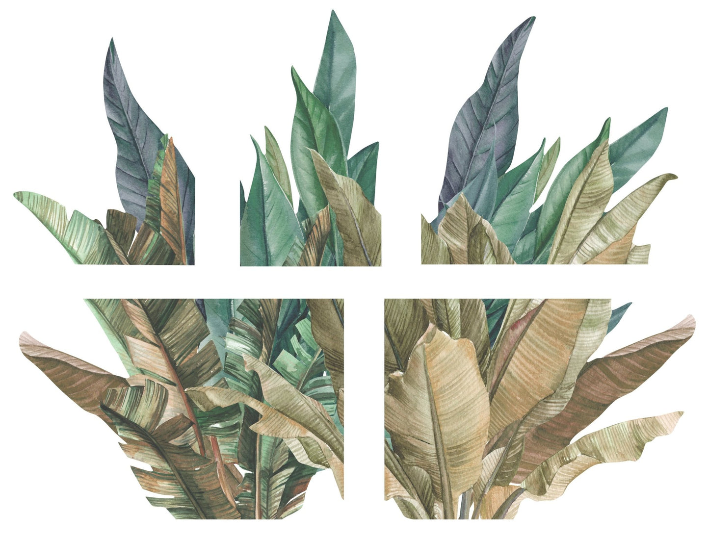 Rainforest Wall Mural - Ginger Monkey