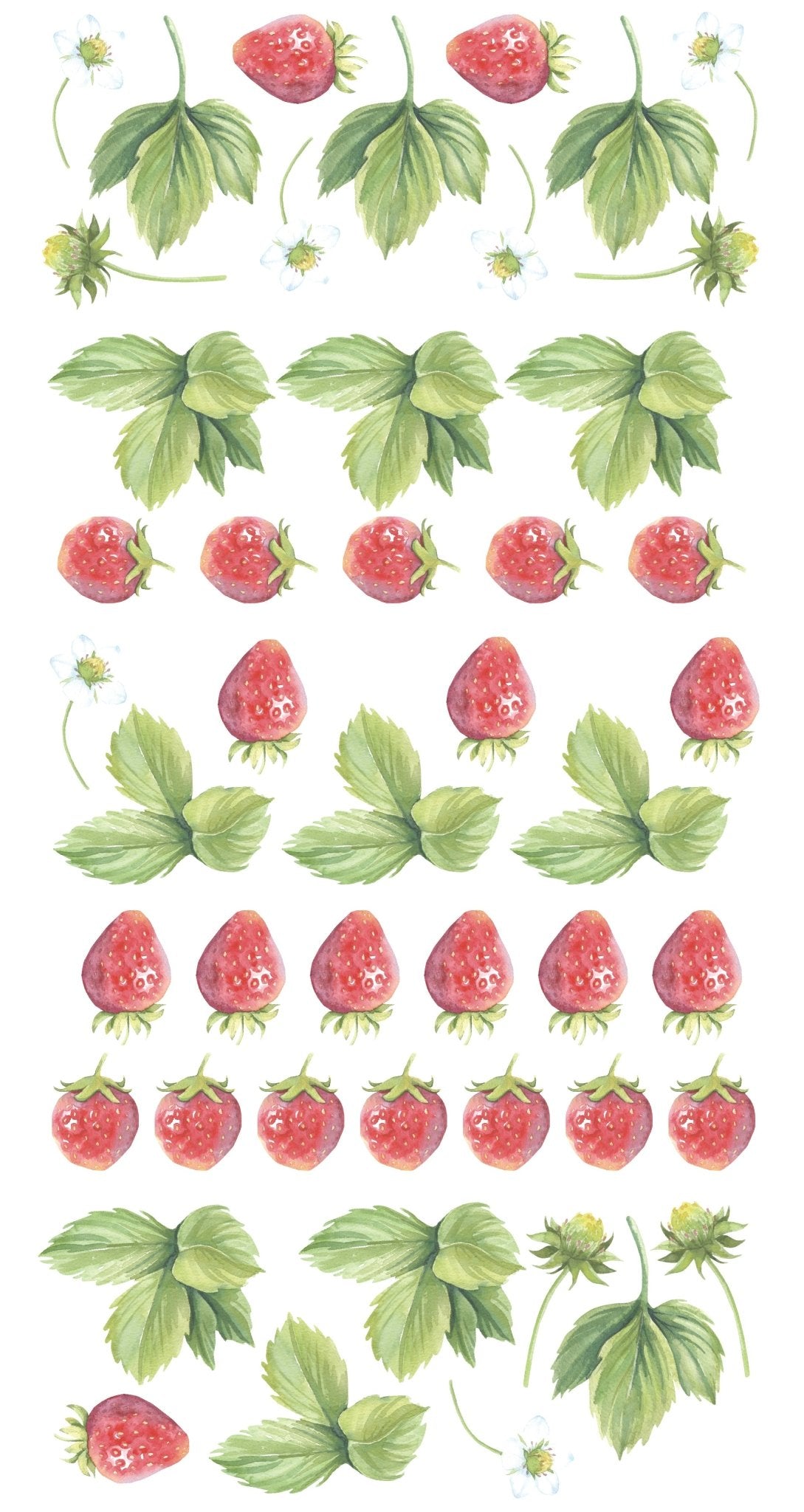 Strawberry Wall Decals - Ginger Monkey