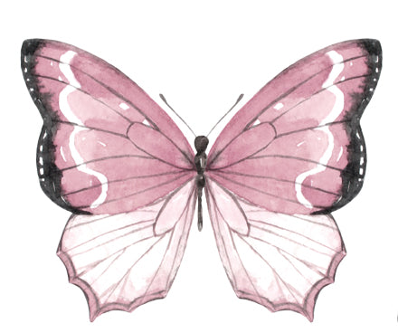 Watercolour Butterfly Decal Set - Ginger Monkey 