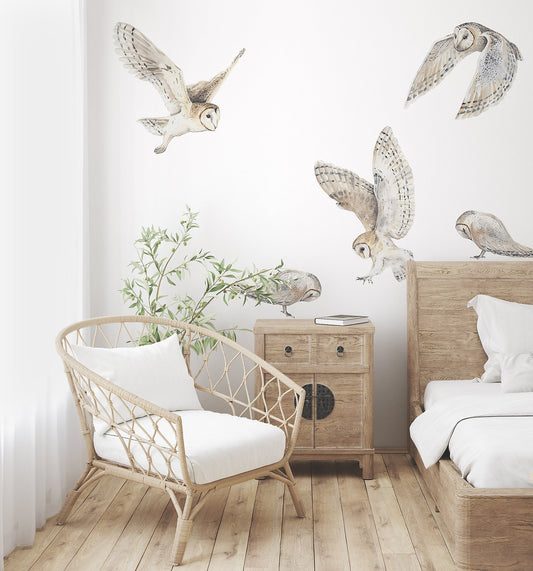 Barn Owl Decal Set - Ginger Monkey