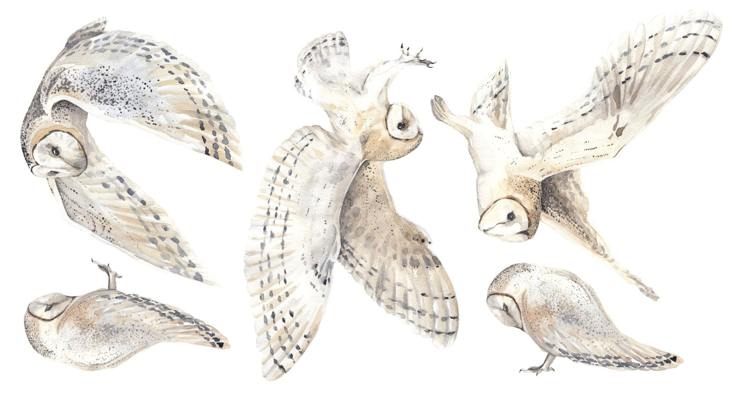 Barn Owl Decal Set - Ginger Monkey