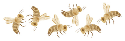 Bee Wall Decal Set - Ginger Monkey