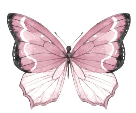 Butterfly Decal Set - Ginger Monkey