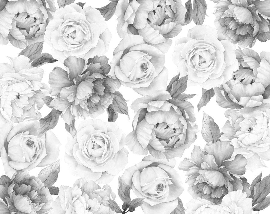 B&W Peony and Rose Wallpaper - Ginger Monkey