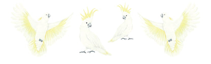 Cockatoo and Galah Decal Set - Ginger Monkey