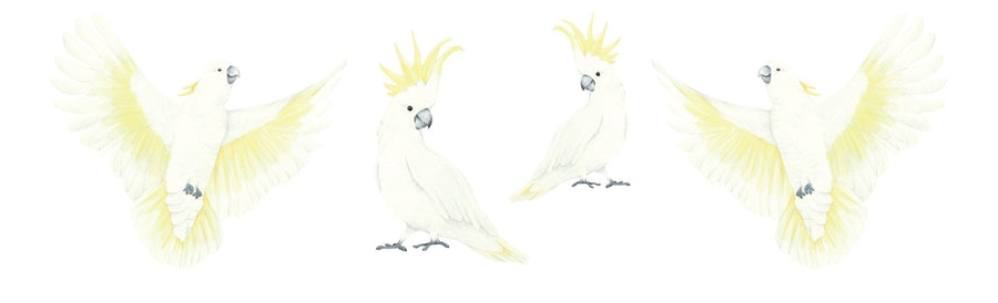 Cockatoo and Galah Decal Set - Ginger Monkey