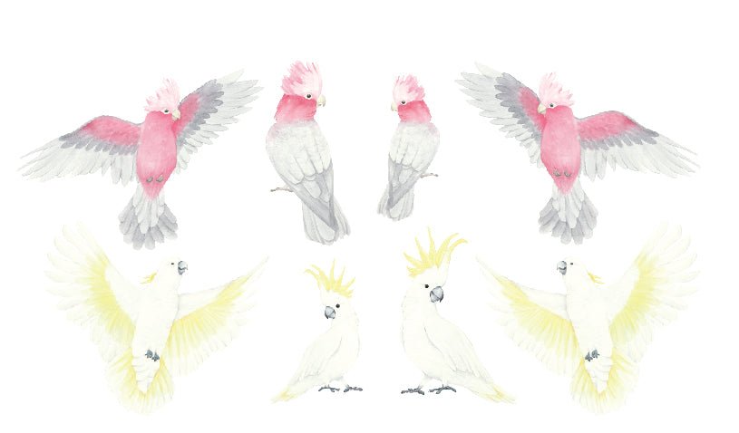 Cockatoo and Galah Decal Set - Ginger Monkey