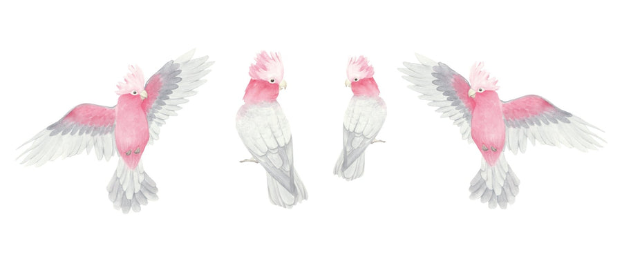 Cockatoo and Galah Decal Set - Ginger Monkey