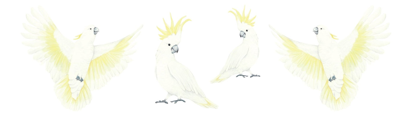 Cockatoo Decal Set - Ginger Monkey