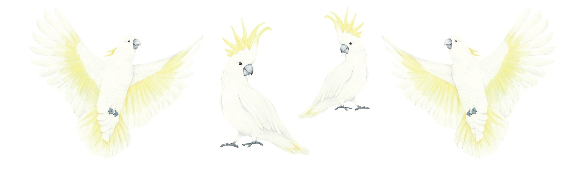 Cockatoo Decal Set - Ginger Monkey