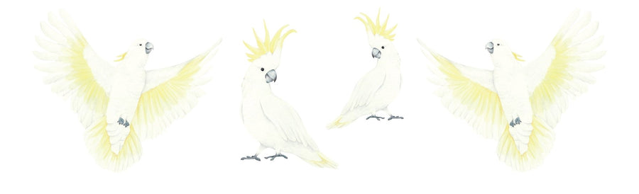 Cockatoo Decal Set - Ginger Monkey