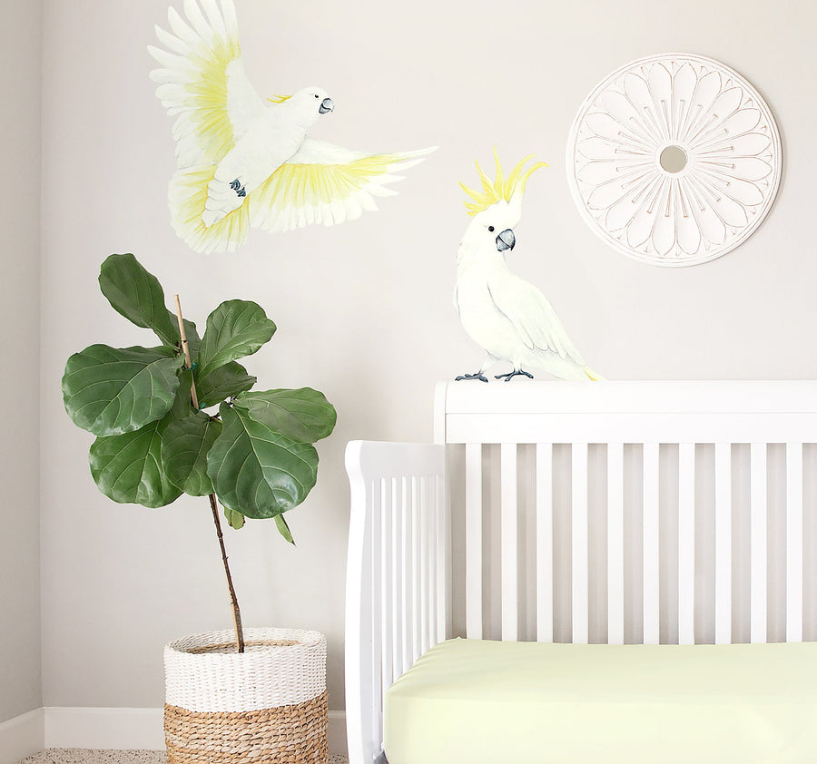 Cockatoo Decal Set - Ginger Monkey