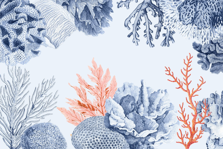 Coral Reef Wallpaper - Ginger Monkey