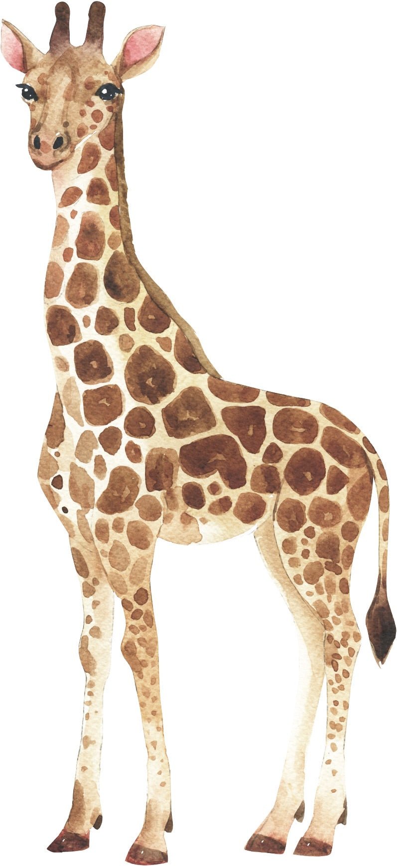 Giraffe Wall Decal - Ginger Monkey