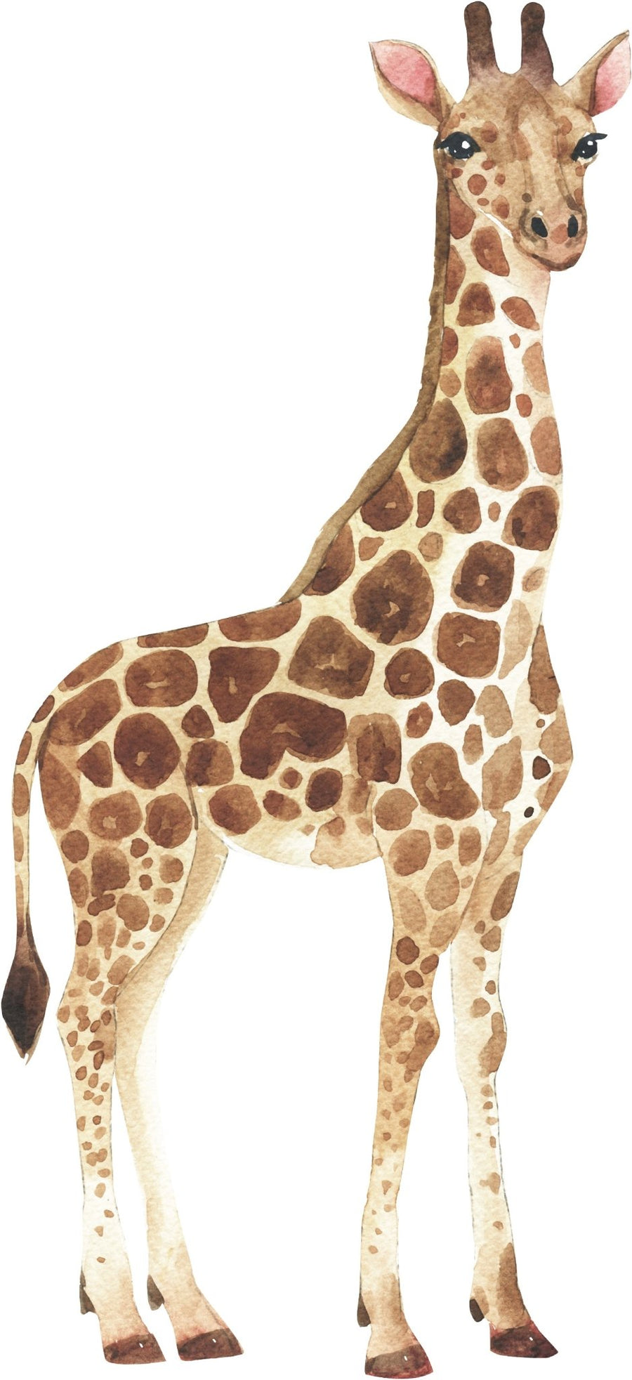 Giraffe Wall Decal - Ginger Monkey