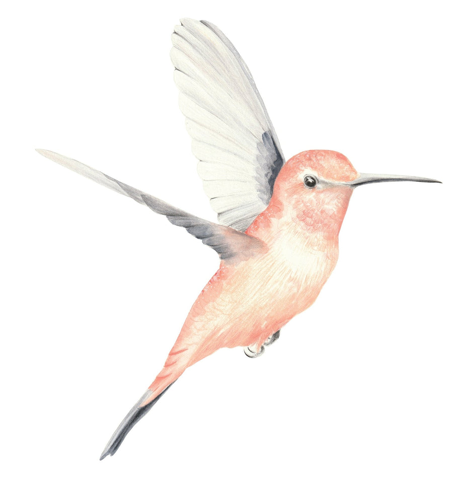 Hummingbird Decal Set - Ginger Monkey