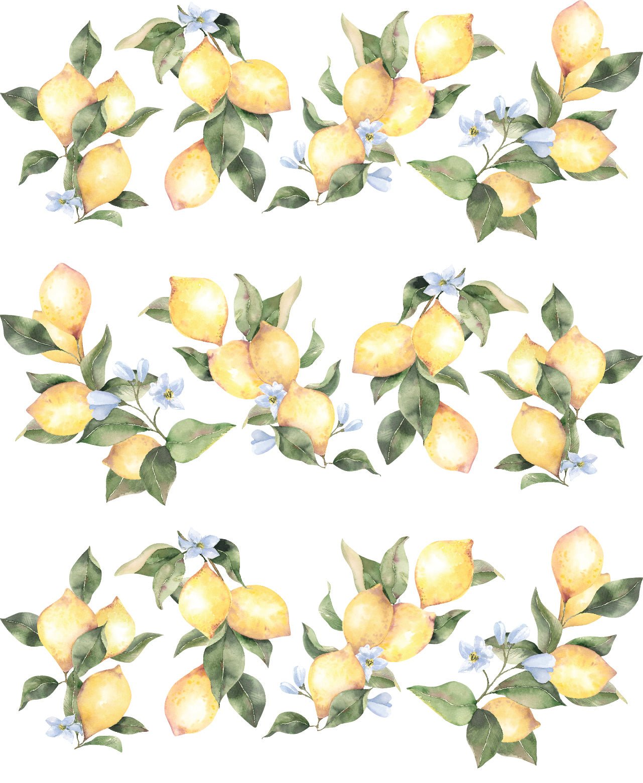 Lemon Wall Decals - Ginger Monkey