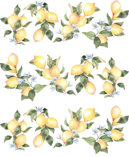 Lemon Wall Decals - Ginger Monkey