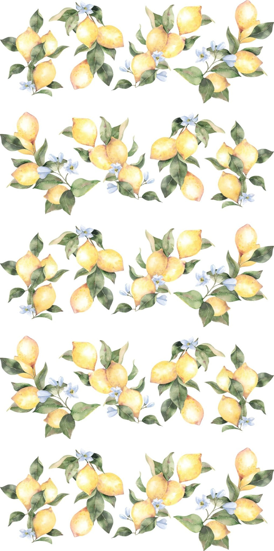 Lemon Wall Decals - Ginger Monkey