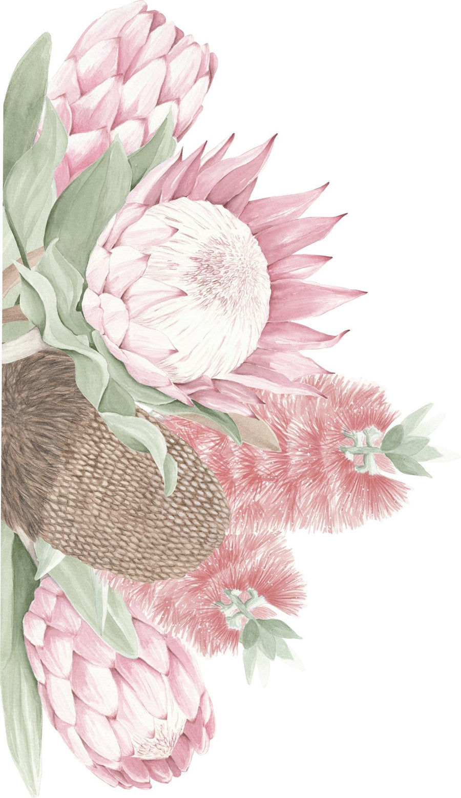 Protea, Bottlebrush & Banksia Wall Mural - Ginger Monkey