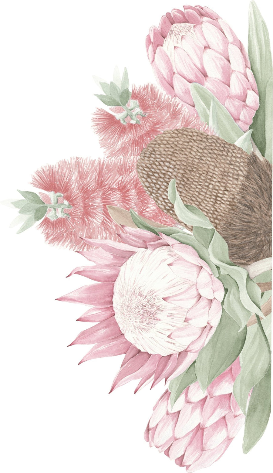 Protea, Bottlebrush & Banksia Wall Mural - Ginger Monkey