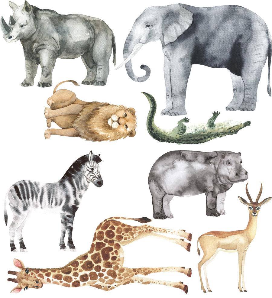 Safari Animal Decal Set - Ginger Monkey