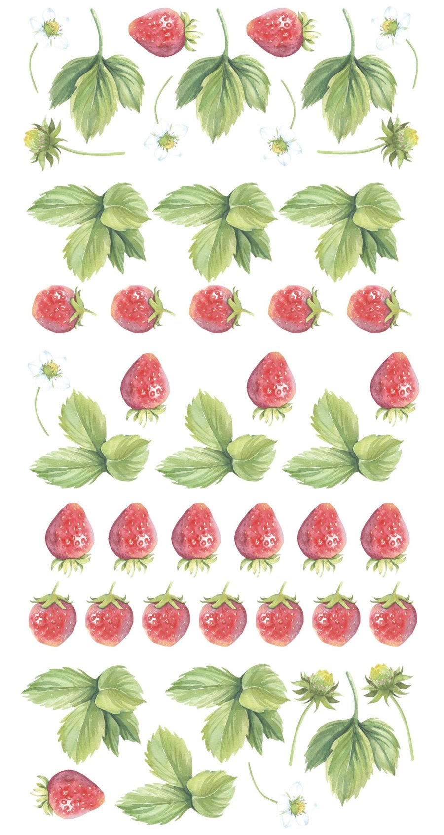 Strawberry Wall Decals - Ginger Monkey