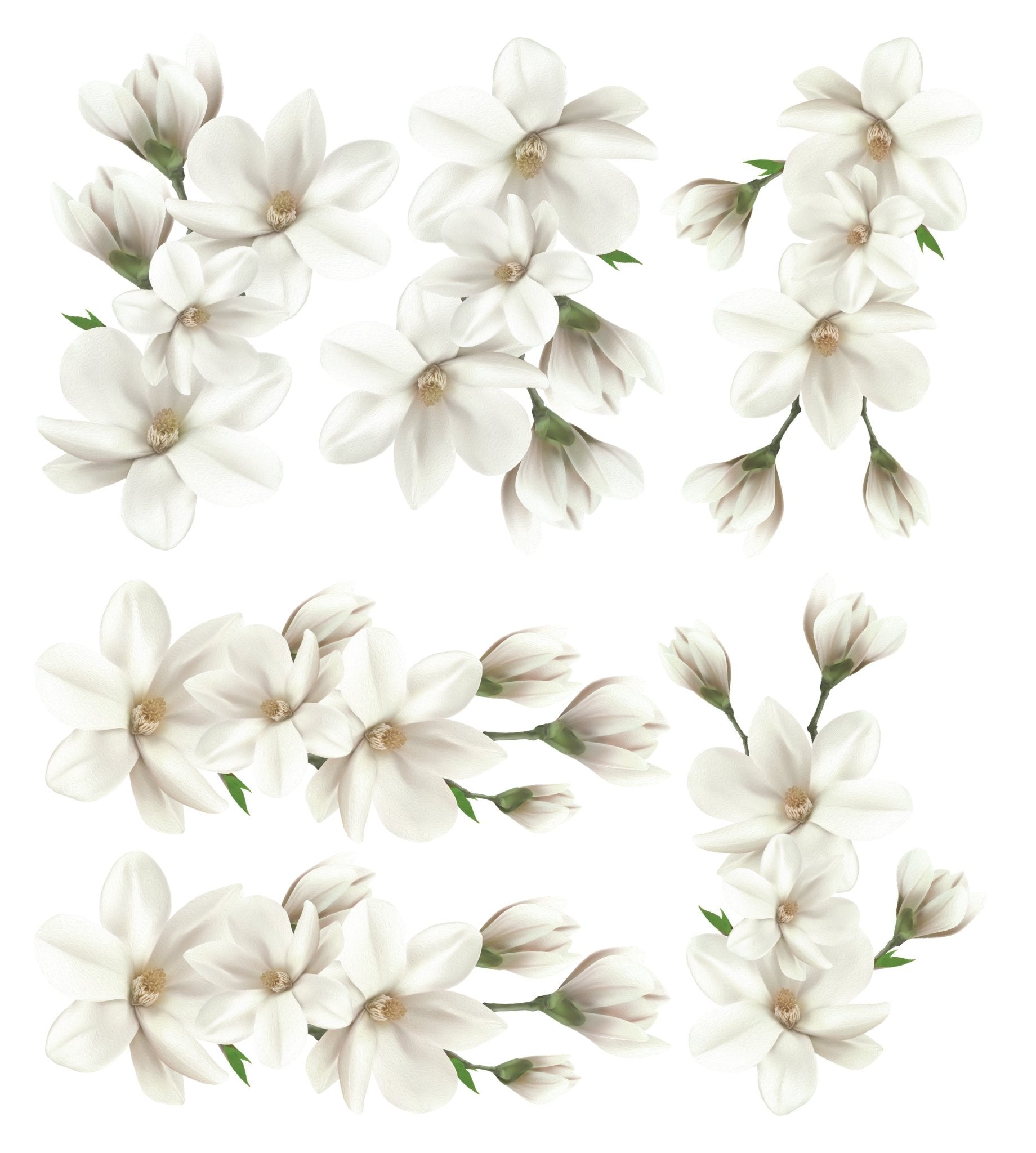 White Magnolia Wall Decal Set - Ginger Monkey