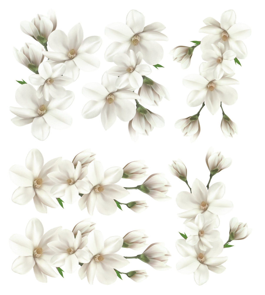 White Magnolia Wall Decal Set - Ginger Monkey