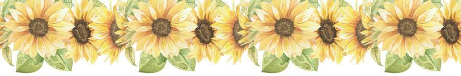 WALL BORDER - Sunflowers - Ginger Monkey 
