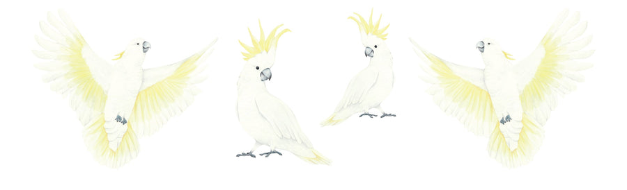 Watercolour Cockatoos - Ginger Monkey 